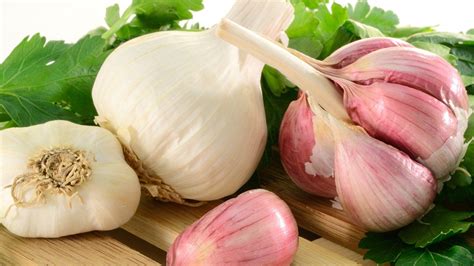 Garlic Wallpapers - Wallpaper Cave