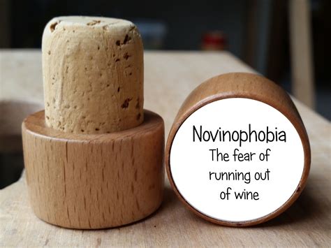 Novinophobia the Fear of Running Out of Wine Wine Bottle Stopper - Etsy UK | Bottle stoppers ...