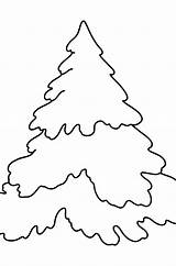 Spruce Tree coloring page ♥ Online And Print For Free sketch template