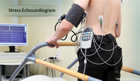 Echocardiogram Stress Test Indications, Prep, Procedure And Results