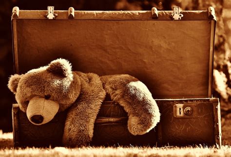 Free Images : leather, antique, mammal, junk, luggage, teddy bear, sepia, toys, funny, stuffed ...