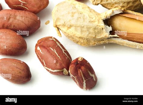 Raw peanuts in shells and shelled peanuts Stock Photo - Alamy