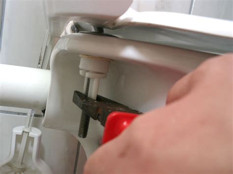 How to Tighten a Toilet Seat in 5 Simple Steps | Toilet seat, Toilet, Seating