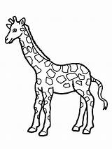 Free Printable Giraffe Coloring Pages For Kids sketch template