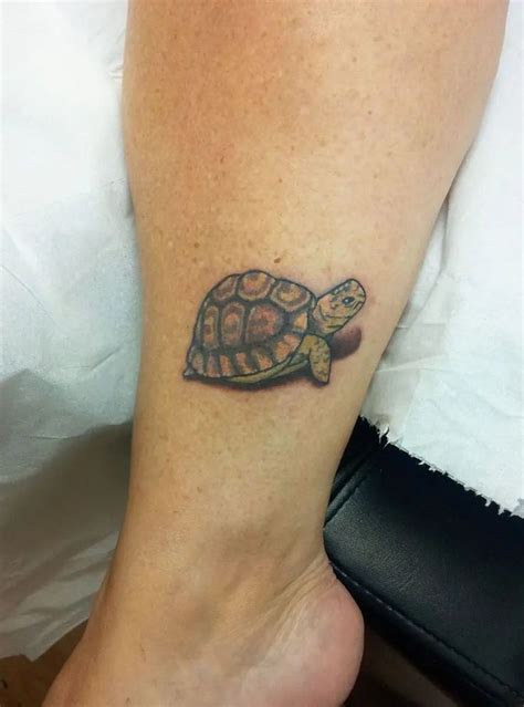 25+ Tortoise Tattoo Designs, Ideas, & Meanings That Will Inspire You ...