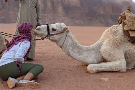 How (And Where) To Have An Ethical Camel Riding Adventure - Explorer Chick