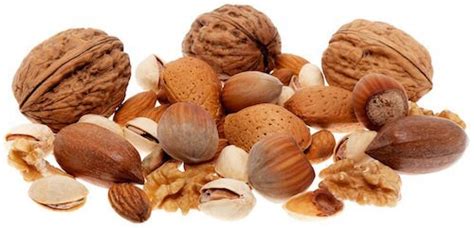 What is a tree nut allergy? - Spokin