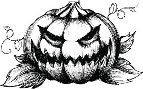 Download High Quality pumpkin clipart black and white scary Transparent PNG Images - Art Prim ...