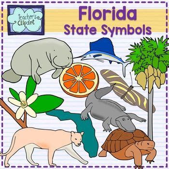 Florida state symbols clipart | State symbols, Turtle reptile, Butterfly fish