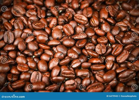 Fresh Roasted Coffee Beans, Espresso, Java Stock Image - Image of beans, morning: 6479943