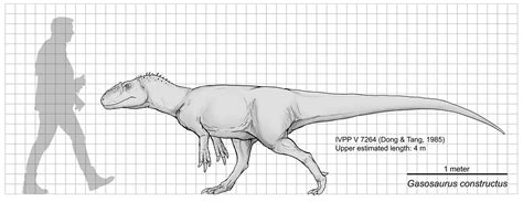Gasosaurus constructus Size Chart by Paleocolour on DeviantArt
