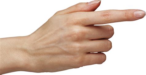 มือ คนมือ - ภาพฟรีบน Pixabay