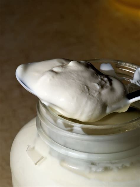 Yogurt 364 | Yogurt made from half heavy cream and half whol… | Flickr