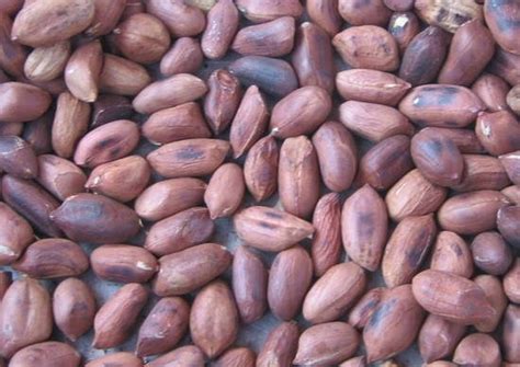 Roasted groundnuts ' njugu karanga' Recipe by Grace Aholo | Recipe | Recipes, Roast, Groundnuts ...