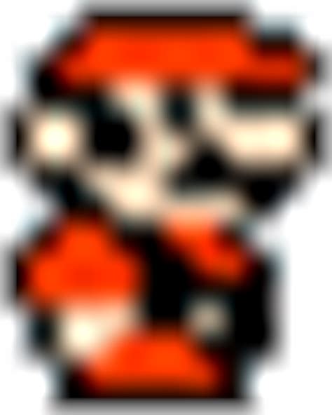 Invincible Mario - Super Mario Wiki, the Mario encyclopedia
