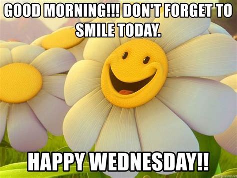 36 Funny Happy Wednesday Memes | Wednesday memes, Happy wednesday, Funny wednesday memes