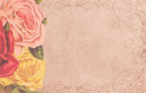 Vintage Rose Background