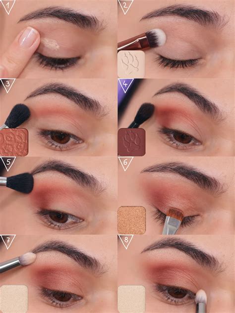 Basic Eyeshadow Application for Makeup Beginners Tutorial - NoiMag