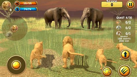 Wild Lion Simulator 3D (by Turbo Rocket Games) Android Gameplay [HD ...