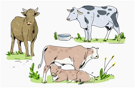 Cattle in Farm Hand Drawn Vector Illustration 207634 Vector Art at Vecteezy