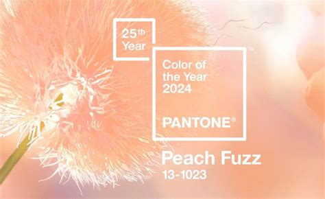 Peach Fuzz Everything: Embrace the Pantone Color of the Year with Styl – Ariel Taub