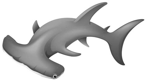 HammerheadShark PNG Clipart - Best WEB Clipart