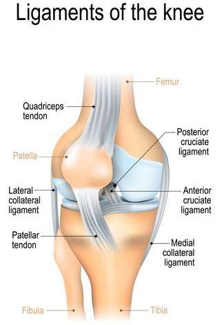 Sprained Knee Treatment in NJ | Pain Management Doctors