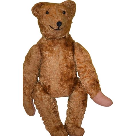 Teddy bear PNG