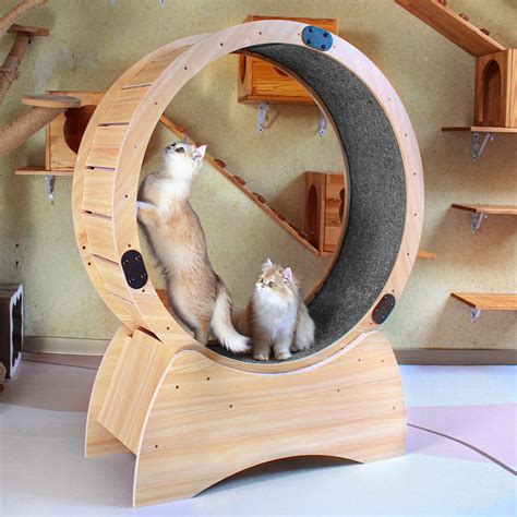 Cat Exercise Wheel,Cat Wheel Exerciser for Indoor Cats, Cat Treadmill Wheel with Carpeted Runway ...