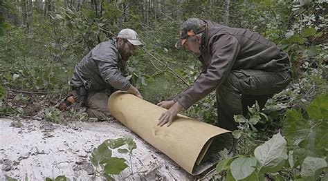 Making a traditional birchbark canoe | YFNCT