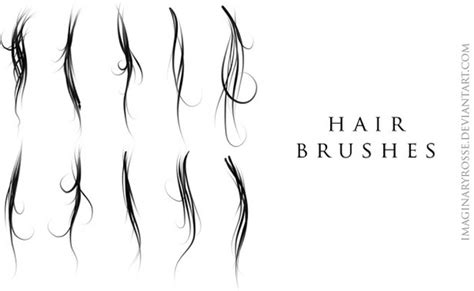 Hair Brushes PS brushes in .abr format free and easy download unlimit id:178254