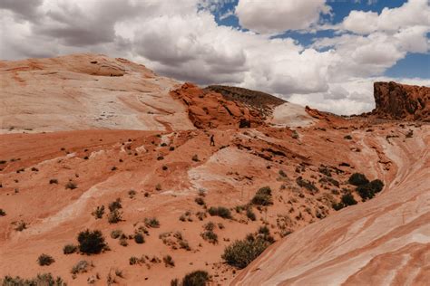 Fire Wave Trail: Must-Do Hike in the Valley of Fire State Park