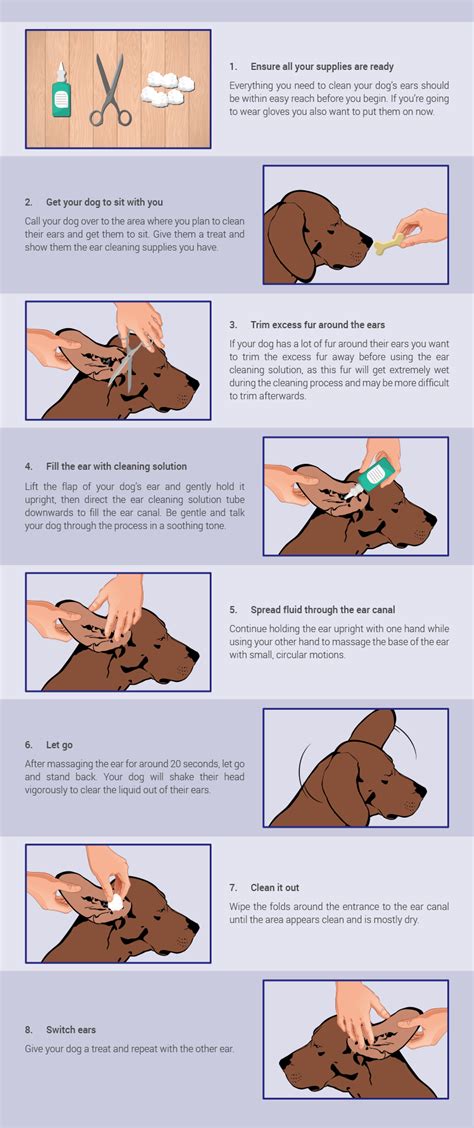 How to clean your dog’s ears - Montego | Cleaning dogs ears, Your dog, Dog shaking