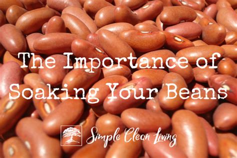 The Importance of Soaking Your Beans