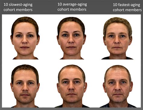 A New Generation of Epigenetic Aging Clock - Biomarkers & Genes - LONGECITY