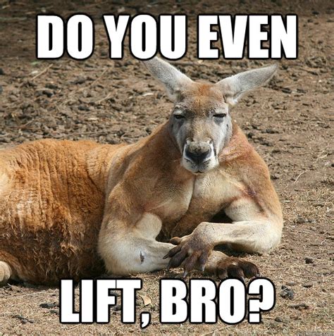 do you even lift, bro? - kangaroo bro - quickmeme