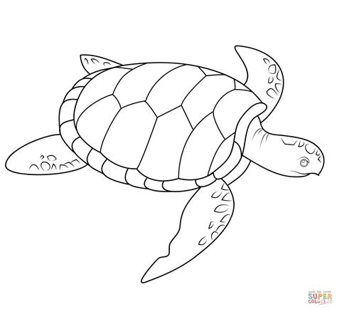 Belle Coloriage tortue De Mer Silhouette | 30000 ++ collections de pages à colorier imprimables