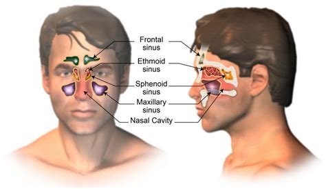 About Us – Dr.Shashikant Limbachiya- Best Cancer Surgeon in Ahmedabad ,Gujarat ,Top Most Head ...