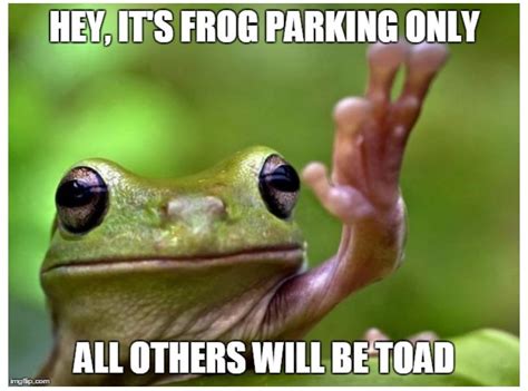 Giggles Week #12: Frog Memes – mYeBEAT