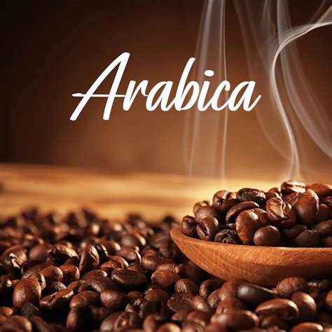 Best Arabica Coffee Beans - Top Products & Guides