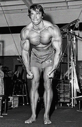 Arnold Schwarzenegger Is Hard Headed Muscle Fitness