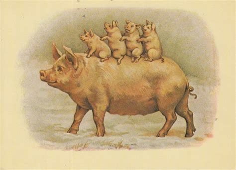 Pig Family (ca 1900) : piccb0x : Free Download, Borrow, and Streaming : Internet Archive