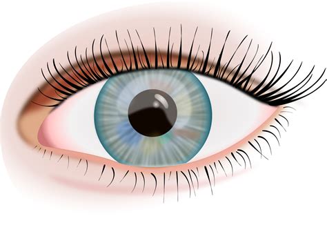 Eye PNG Image - PurePNG | Free transparent CC0 PNG Image Library