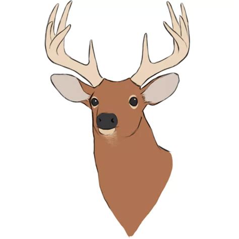 Deer Head Drawing Step By Step - You will learn how to draw and color a deer head step by step.