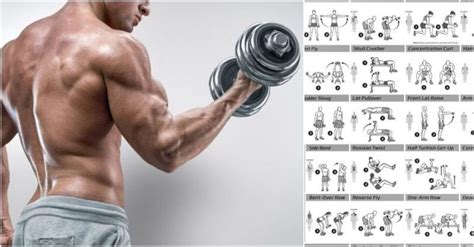 Biceps Workout That Will Have You Bursting Through Your Sleeves - GymGuider.com | Biceps workout ...