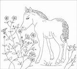 Nicoles Free Coloring Pages WINTER  Color By Number sketch template