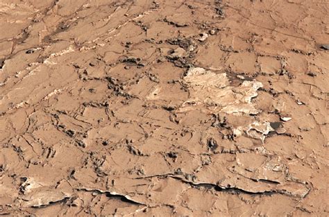 Ancient mud cracks on Mars point to conditions favorable for life ...