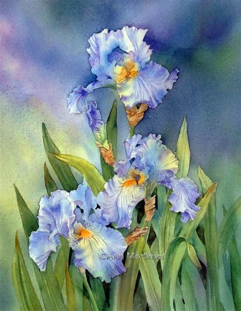 Irises - Ann Mortimer 2015. | Iris art, Iris painting, Watercolor flowers paintings