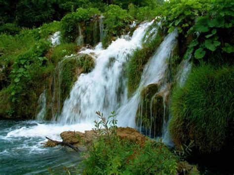 7 Mesmerizing Waterfalls of Cherrapunji, Meghalaya