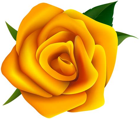 Rose Yellow Clip art - Yellow Rose Clipart PNG Image png download ...